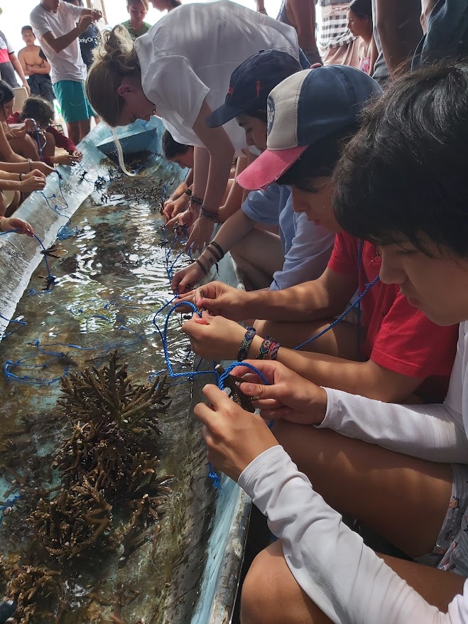 Coral Planting