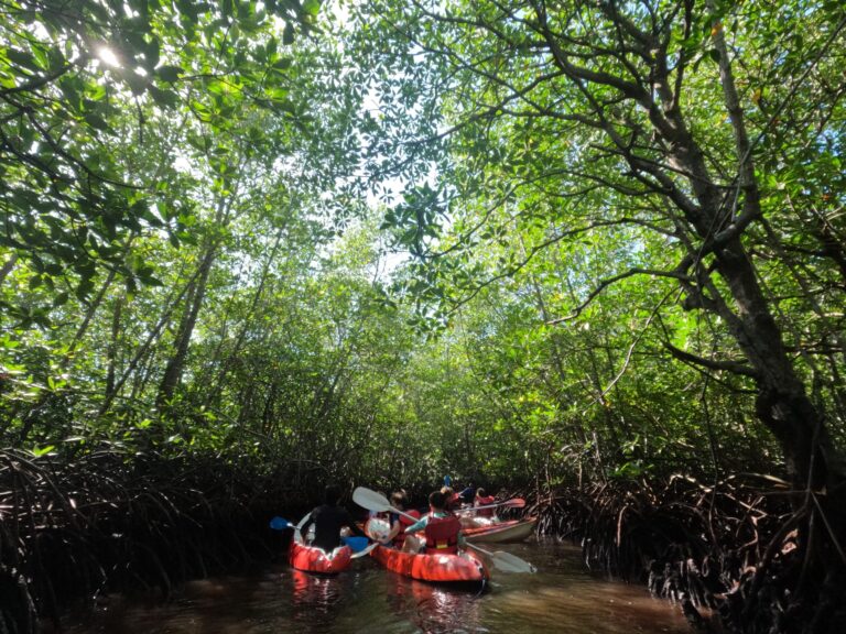 Kayaking