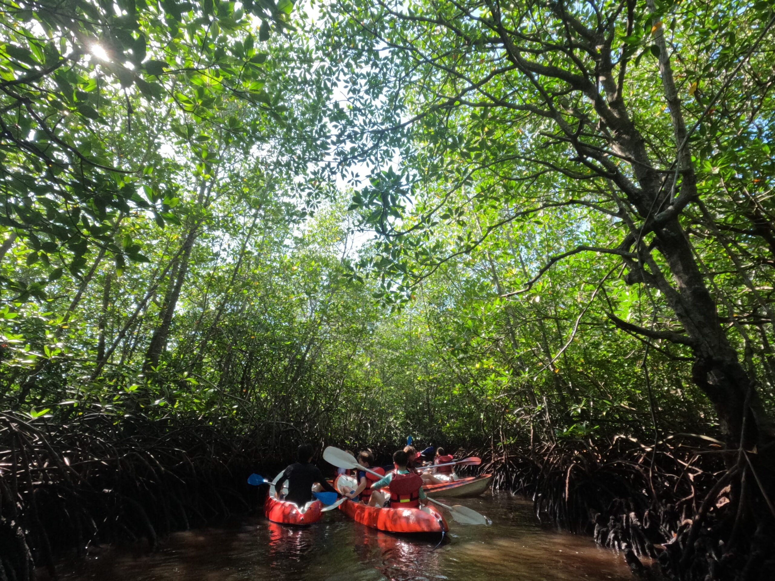 Kayaking - Green Camp Bali