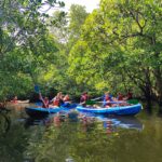 Four Island Camp : A Journey of Connection & Discovery
