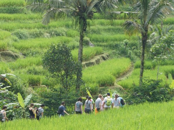 5-Day Adventure and Expedition Camp