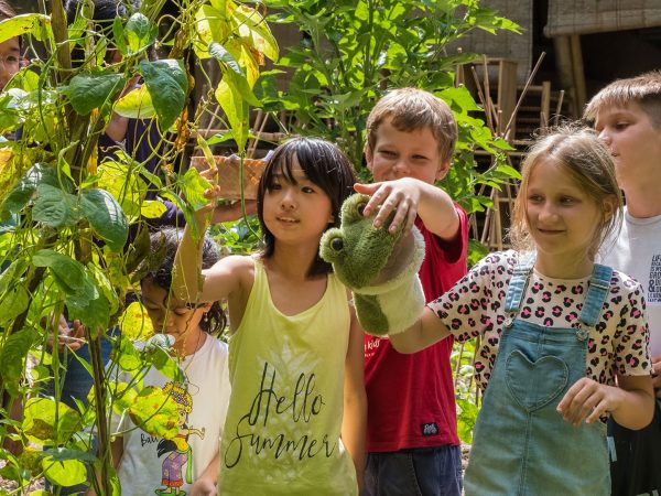 Green English Camp