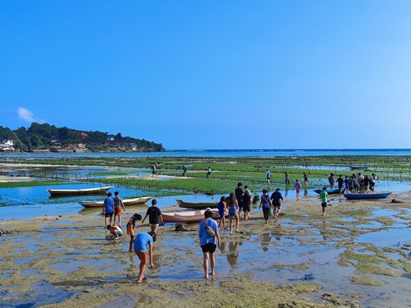 8-Day Four Island Exploration Camp