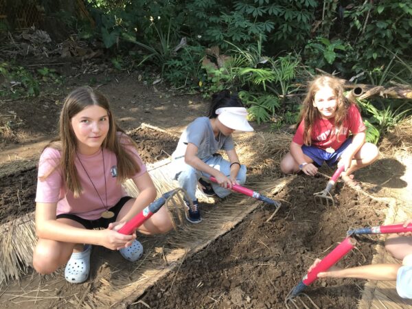 5 Day Green Explorer Camp