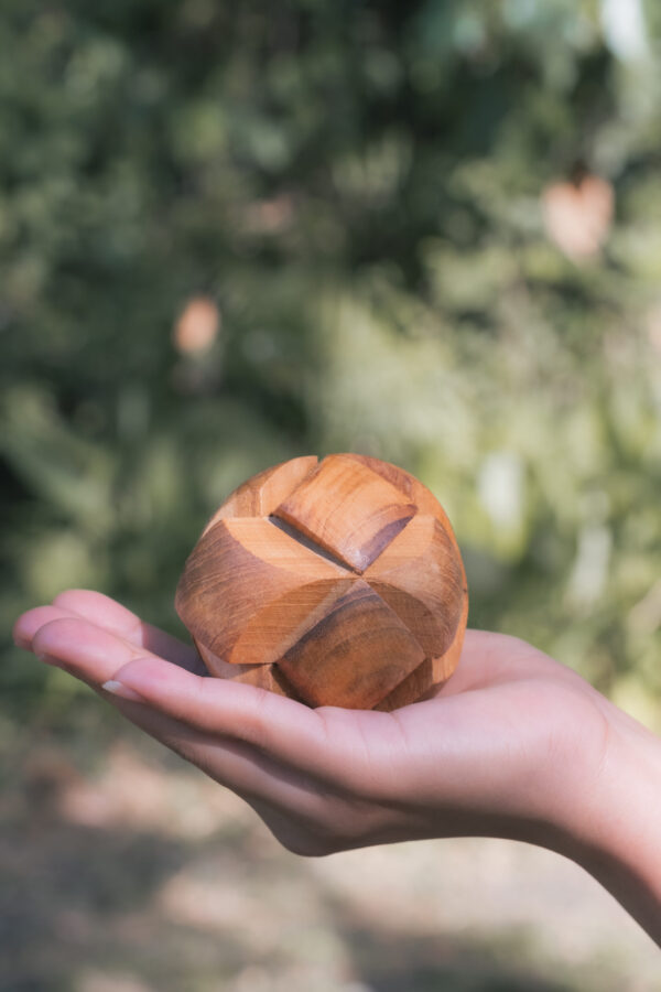 Wooden Burr Puzzles