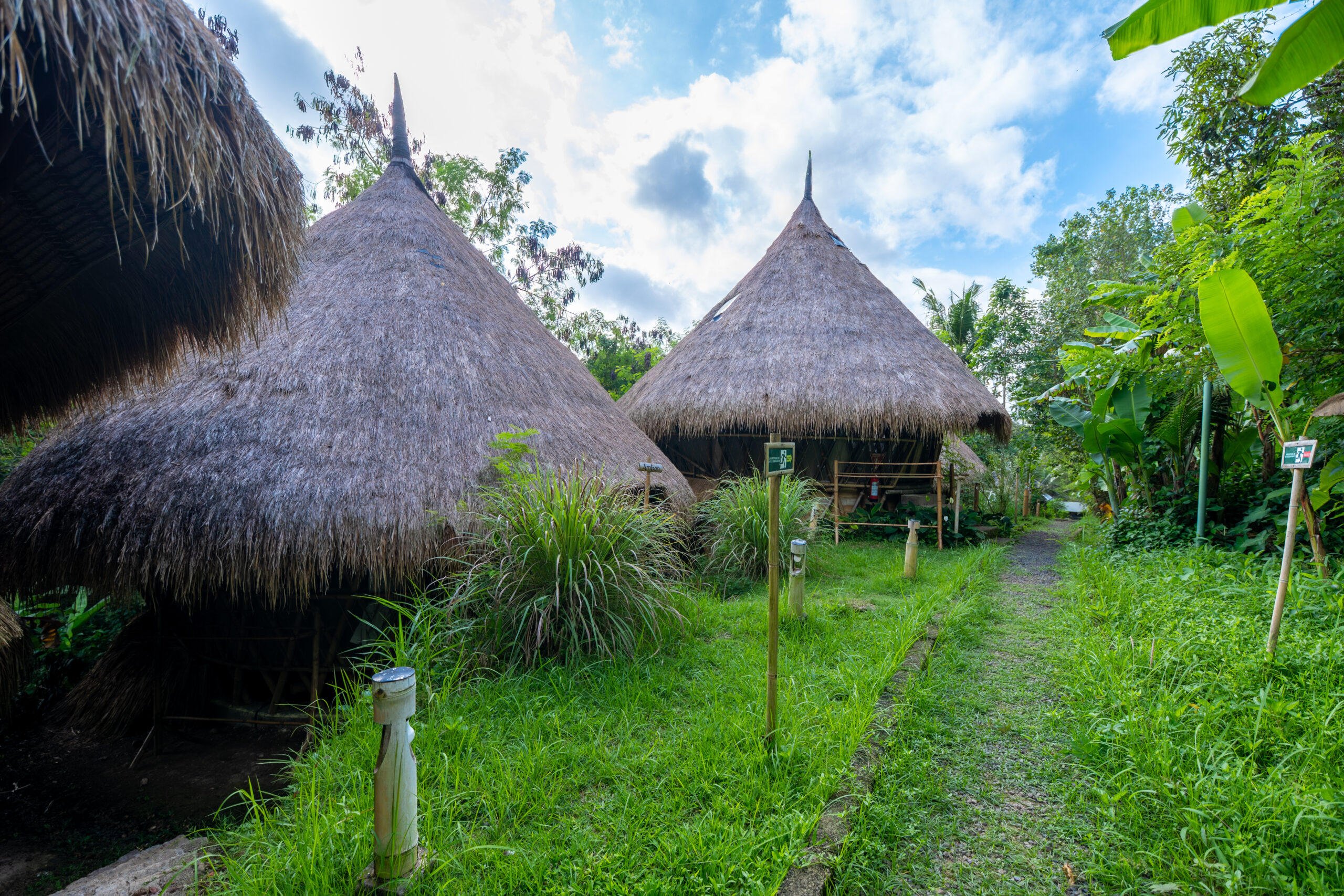 The Yurt